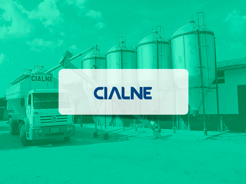 Mentoria em Automação de Processos na Cialne
